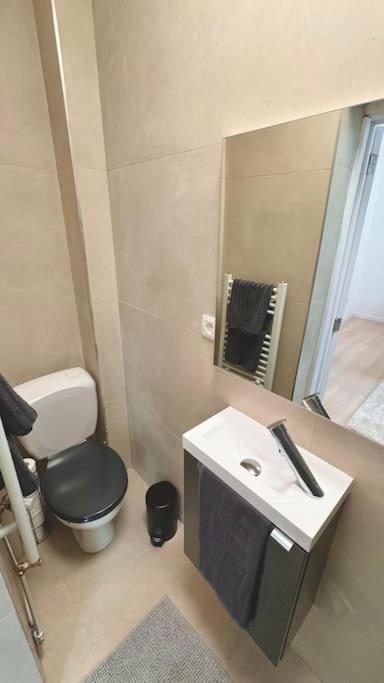Appartamento Au Coeur Du Parvis De Saint-gilles *